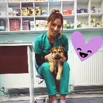 Profil doctor Medic Chat