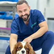 Dr. Denis Borcea